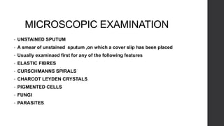 MICROSCOPIC EXAMINATION
• UNSTAINED SPUTUM
• A smear of unstained sputum ,on which a cover slip has been placed
• Usually examinaed first for any of the following features
• ELASTIC FIBRES
• CURSCHMANNS SPIRALS
• CHARCOT LEYDEN CRYSTALS
• PIGMENTED CELLS
• FUNGI
• PARASITES
 
