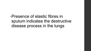 ELASTIC FIBRES
•Presence of elastic fibres in
sputum indicates the destructive
disease process in the lungs
 