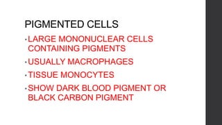 PIGMENTED CELLS
• LARGE MONONUCLEAR CELLS
CONTAINING PIGMENTS
• USUALLY MACROPHAGES
• TISSUE MONOCYTES
• SHOW DARK BLOOD PIGMENT OR
BLACK CARBON PIGMENT
 