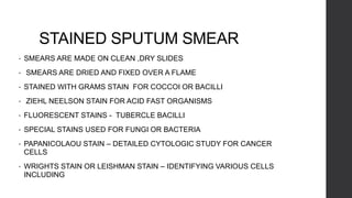 STAINED SPUTUM SMEAR
• SMEARS ARE MADE ON CLEAN ,DRY SLIDES
• SMEARS ARE DRIED AND FIXED OVER A FLAME
• STAINED WITH GRAMS STAIN FOR COCCOI OR BACILLI
• ZIEHL NEELSON STAIN FOR ACID FAST ORGANISMS
• FLUORESCENT STAINS - TUBERCLE BACILLI
• SPECIAL STAINS USED FOR FUNGI OR BACTERIA
• PAPANICOLAOU STAIN – DETAILED CYTOLOGIC STUDY FOR CANCER
CELLS
• WRIGHTS STAIN OR LEISHMAN STAIN – IDENTIFYING VARIOUS CELLS
INCLUDING
 