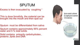 SPUTUM
oExcess is then evacuated by coughing “
oThis is done forcefully ,the material can be
brought into the mouth and then spat out
oSputum must be differentiated from saliva
oSputum contains approximately 95% percent
water and 5 % total solids
oSolid contains primarily carbohydrates ,
proteins ,lipids and DNA
 