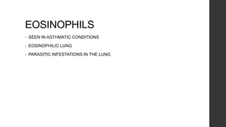 EOSINOPHILS
• SEEN IN ASTHMATIC CONDITIONS
• EOSINOPHILIC LUNG
• PARASITIC INFESTATIONS IN THE LUNG
 