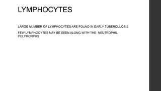 LYMPHOCYTES
LARGE NUMBER OF LYMPHOCYTES ARE FOUND IN EARLY TUBERCULOSIS
FEW LYMPHOCYTES MAY BE SEEN ALONG WITH THE NEUTROPHIL
POLYMORPHS
 