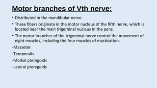 trigeminal neuralgia
