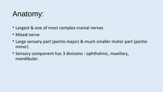 trigeminal neuralgia
