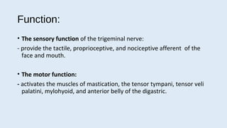 trigeminal neuralgia