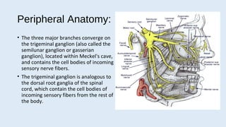 trigeminal neuralgia