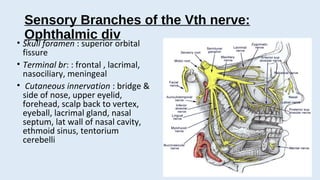 trigeminal neuralgia