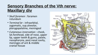 trigeminal neuralgia