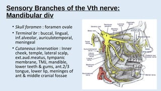 trigeminal neuralgia