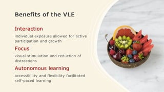 Benefits of the VLE
Interaction
individual exposure allowed for active
participation and growth
Focus
visual stimulation and reduction of
distractions
Autonomous learning
accessibility and flexibility facilitated
self-paced learning
 
