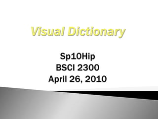 Visual DictionarySp10HipBSCI 2300April 26, 2010 