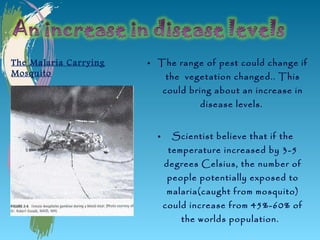 The Malaria Carrying   • The range of pest could change if
Mosquito                  the vegetation changed.. This
                             could bring about an increase in
                                     disease levels.


                         •     Scientist believe that if the
                              temperature increased by 3-5
                             degrees Celsius, the number of
                             people potentially exposed to
                             malaria(caught from mosquito)
                             could increase from 45%-60% of
                                 the worlds population.
 