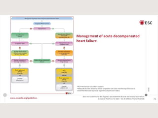 Update heart failure-2021.pptx