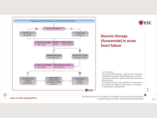 Update heart failure-2021.pptx
