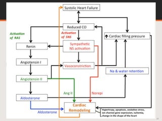 Update heart failure-2021.pptx