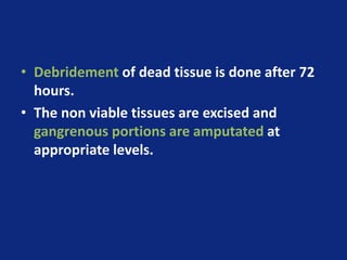 • Debridement of dead tissue is done after 72
hours.
• The non viable tissues are excised and
gangrenous portions are amputated at
appropriate levels.
 