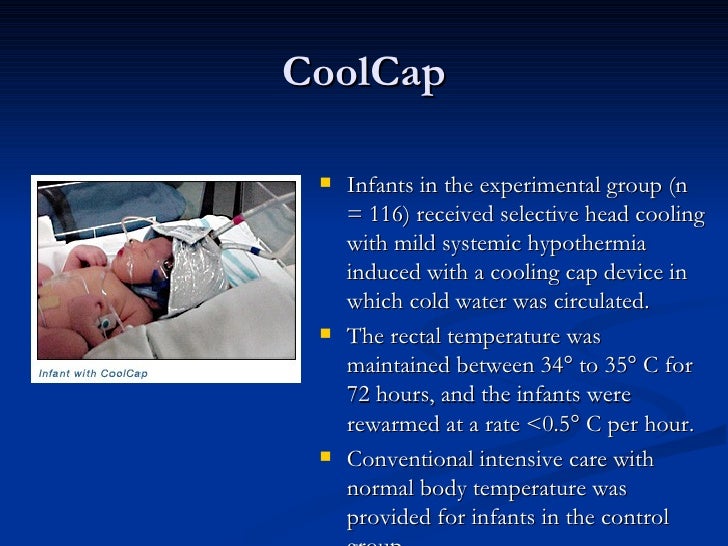 brain cooling cap