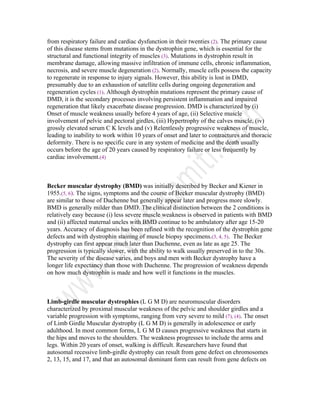 from respiratory failure and cardiac dysfunction in their twenties (2). The primary cause
of this disease stems from mutations in the dystrophin gene, which is essential for the
structural and functional integrity of muscles (3). Mutations in dystrophin result in
membrane damage, allowing massive infiltration of immune cells, chronic inflammation,
necrosis, and severe muscle degeneration (2). Normally, muscle cells possess the capacity
to regenerate in response to injury signals. However, this ability is lost in DMD,
presumably due to an exhaustion of satellite cells during ongoing degeneration and
regeneration cycles (1). Although dystrophin mutations represent the primary cause of
DMD, it is the secondary processes involving persistent inflammation and impaired
regeneration that likely exacerbate disease progression. DMD is characterized by (i)
Onset of muscle weakness usually before 4 years of age, (ii) Selective muscle
involvement of pelvic and pectoral girdles, (iii) Hypertrophy of the calves muscle, (iv)
grossly elevated serum C K levels and (v) Relentlessly progressive weakness of muscle,
leading to inability to work within 10 years of onset and later to contractures and thoracic
deformity. There is no specific cure in any system of medicine and the death usually
occurs before the age of 20 years caused by respiratory failure or less frequently by
cardiac involvement.(4)
Becker muscular dystrophy (BMD) was initially described by Becker and Kiener in
1955.(5, 6). The signs, symptoms and the course of Becker muscular dystrophy (BMD)
are similar to those of Duchenne but generally appear later and progress more slowly.
BMD is generally milder than DMD. The clinical distinction between the 2 conditions is
relatively easy because (i) less severe muscle weakness is observed in patients with BMD
and (ii) affected maternal uncles with BMD continue to be ambulatory after age 15-20
years. Accuracy of diagnosis has been refined with the recognition of the dystrophin gene
defects and with dystrophin staining of muscle biopsy specimens.(3, 4, 5). The Becker
dystrophy can first appear much later than Duchenne, even as late as age 25. The
progression is typically slower, with the ability to walk usually preserved in to the 30s.
The severity of the disease varies, and boys and men with Becker dystrophy have a
longer life expectancy than those with Duchenne. The progression of weakness depends
on how much dystrophin is made and how well it functions in the muscles.
Limb-girdle muscular dystrophies (L G M D) are neuromuscular disorders
characterized by proximal muscular weakness of the pelvic and shoulder girdles and a
variable progression with symptoms, ranging from very severe to mild (7), (4). The onset
of Limb Girdle Muscular dystrophy (L G M D) is generally in adolescence or early
adulthood. In most common forms, L G M D causes progressive weakness that starts in
the hips and moves to the shoulders. The weakness progresses to include the arms and
legs. Within 20 years of onset, walking is difficult. Researchers have found that
autosomal recessive limb-girdle dystrophy can result from gene defect on chromosomes
2, 13, 15, and 17, and that an autosomal dominant form can result from gene defects on
 