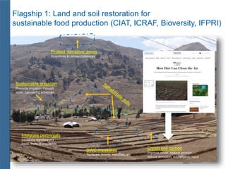 ICRISAT Global Planning Meeting 2019: Update on Funding status and focus of the CRP’s WLE & CCAFS