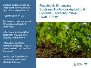 ICRISAT Global Planning Meeting 2019: Update on Funding status and focus of the CRP’s WLE & CCAFS