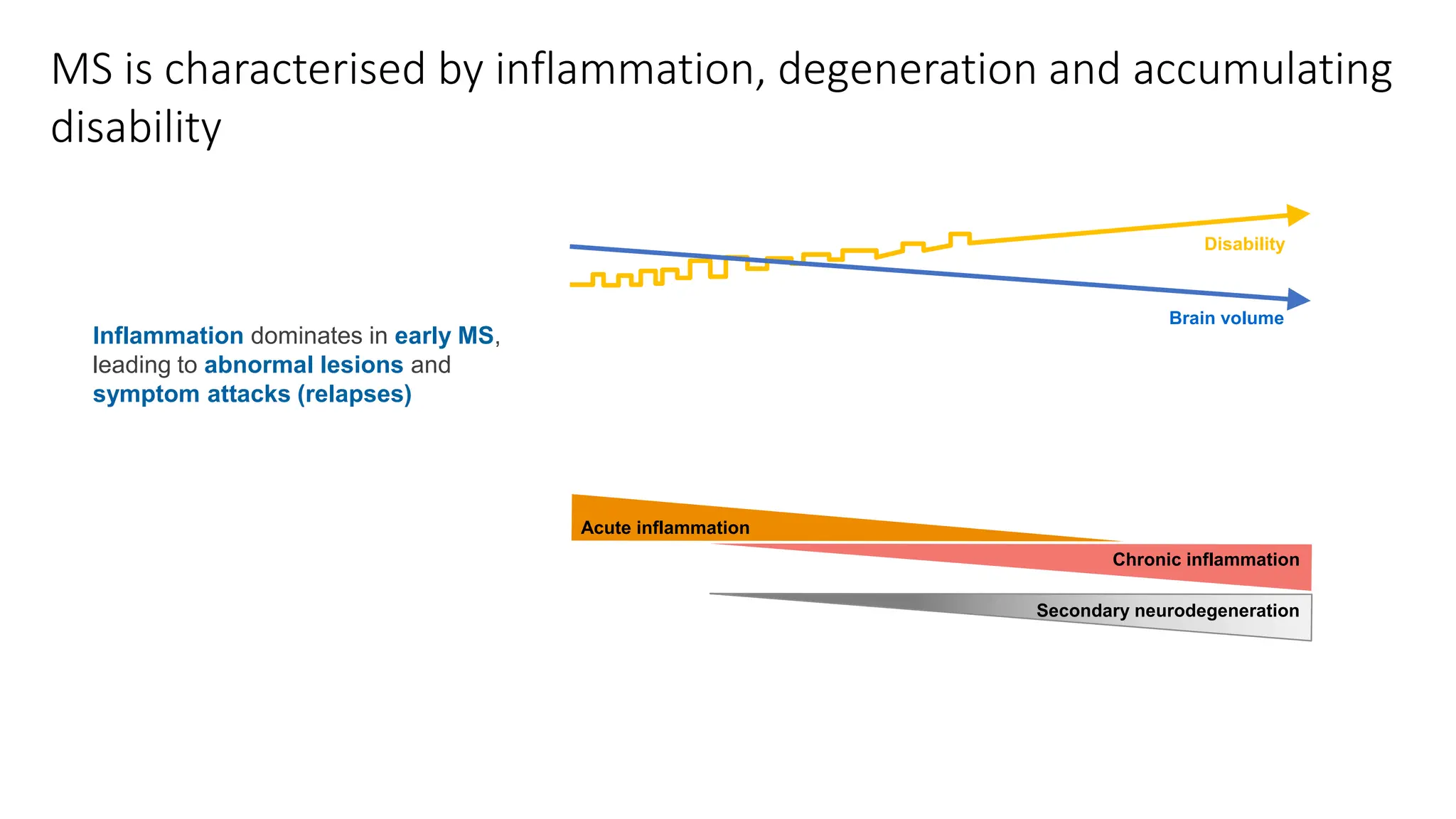 MS is characterised by inflammation, degeneration and accumulating
disability
Inflammation dominates in early MS,
leading to abnormal lesions and
symptom attacks (relapses)
Secondary neurodegeneration
Acute inflammation
Chronic inflammation
Disability
Brain volume
 
