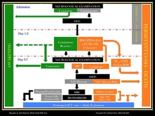 Taccone FS. Critical Care. 2014;18:202Bouwes A. Ann Neurol. 2012;71(2):206-212
 