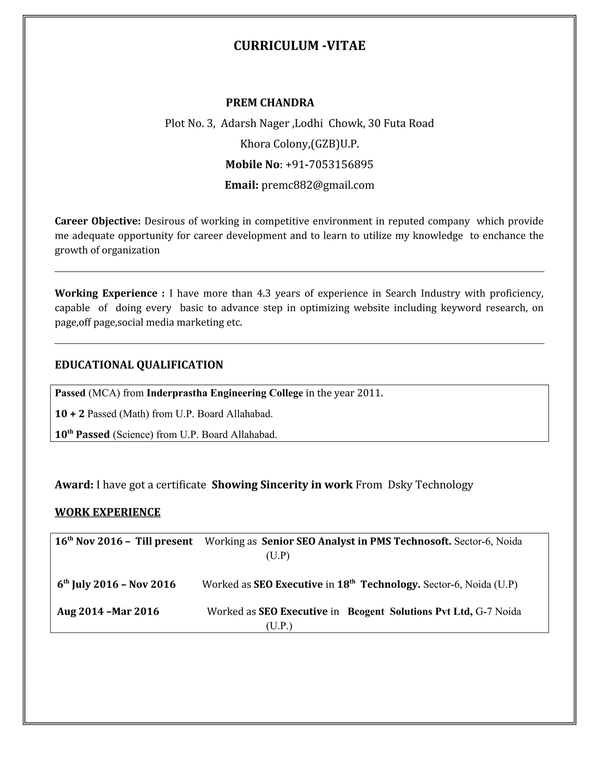 SEO Resume SEO Executive CV - SEO Resume SEO Executive CV 1 2048 