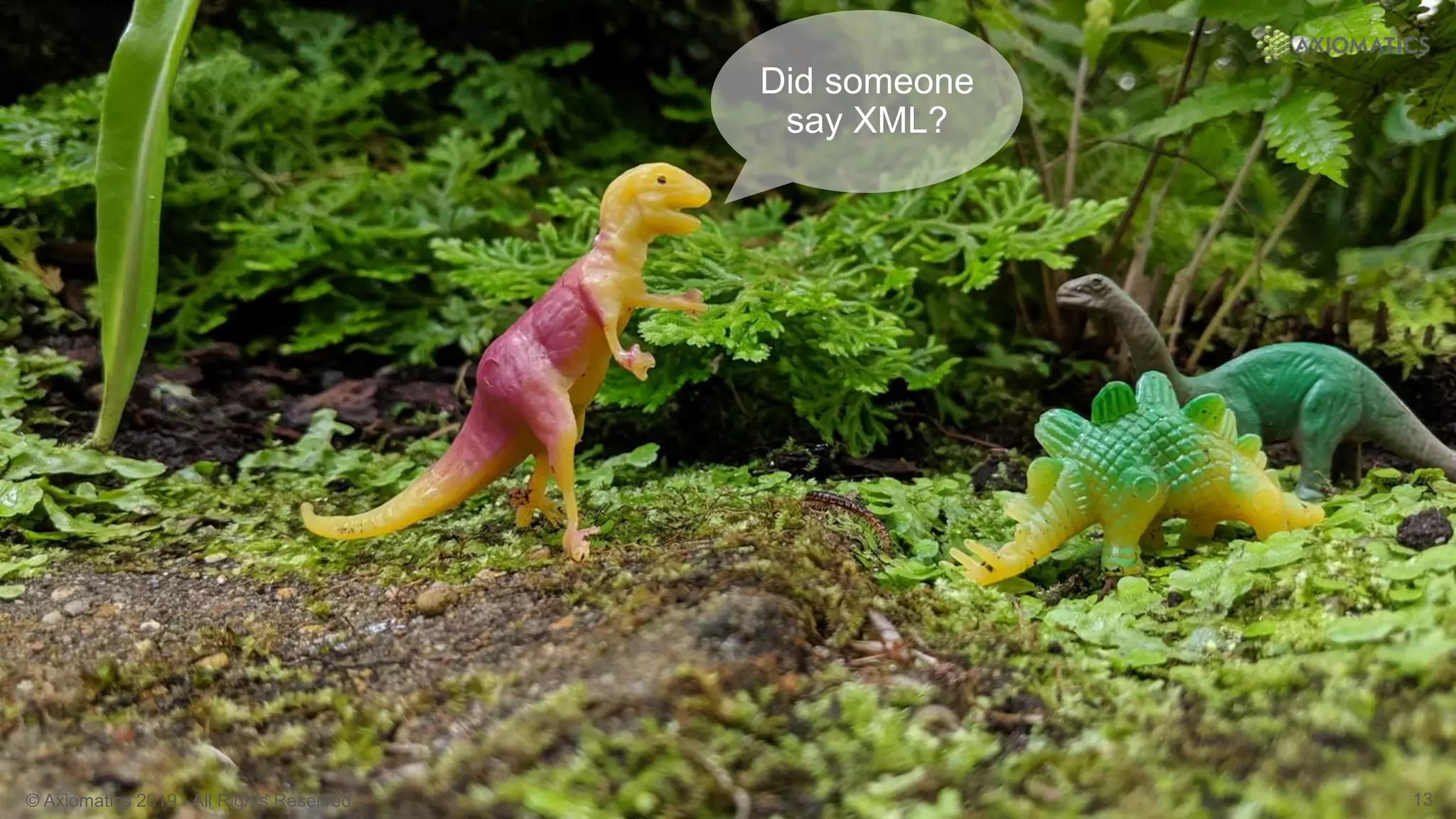 © Axiomatics 2019 - All Rights Reserved 13
Did someone
say XML?
 