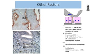 Other Factors
CD
56
Il-1
• Stimulates Il-6, Il-8, LIF, TNFa,
PGE2, COX-2, MMP, Integrins
• Knockouts not infertile
Gp 130 cytokines
• Il-6, increases MMP-9
• Il-11, decidualization of stroma
• LIF, decidualization,
cytotrophoblast anchoring
Il-15
• Cell-cell interaction decidua-Nkcell
CRH
• Decidualization
• Inhibit immune response with Fas-
ligand
MUC-1
Natural Killer
Leucocytes
 