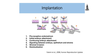 1
5
2 4
3
6
1. Pre-receptive endometrium
2. Initial embryo attachment
3. Continuing embryo attachment
4. Signaling between embryo, epithelium and stroma
5. Stromal invasion
6. Desidualization
8
7
Implantation
5
Fatemi et al., 2008, Human Reproduction Update
 