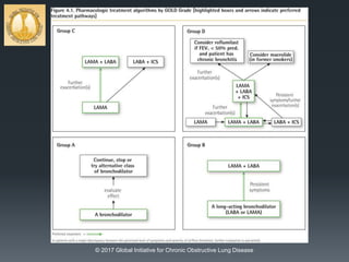Treatment of Stable COPD
© 2017 Global Initiative for Chronic Obstructive Lung Disease
 