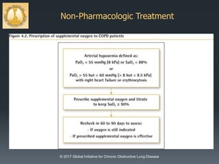 Non-Pharmacologic Treatment
© 2017 Global Initiative for Chronic Obstructive Lung Disease
 