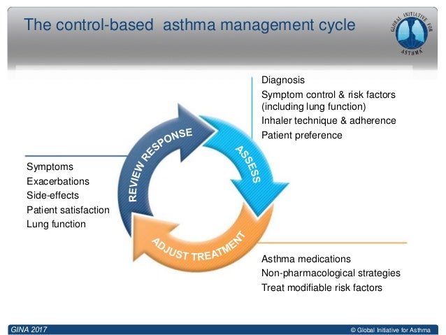 Updates in pulmonary medicine 2017