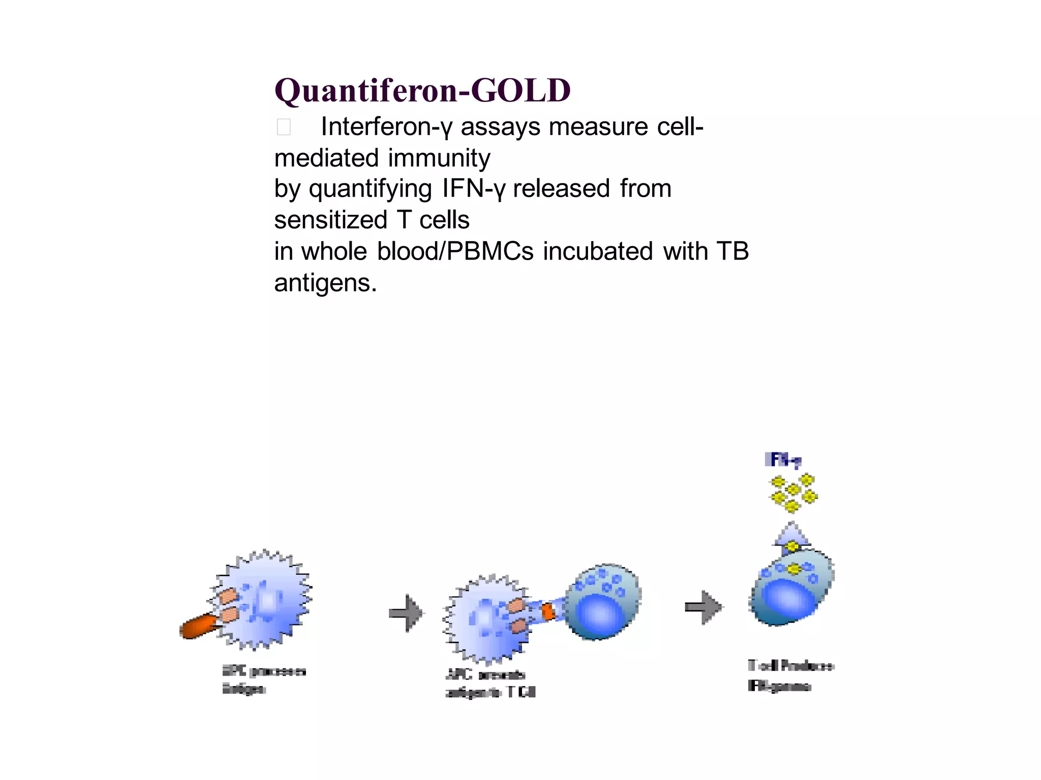 Quantiferon-GOLD
􀂄 Interferon-γ assays measure cellmediated immunity
by quantifying IFN-γ released from
sensitized T cells
in whole blood/PBMCs incubated with TB
antigens.

 
