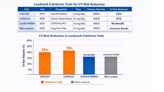 Comprehensive Updates on Cardiovascular Disease Risk Assessment and ...