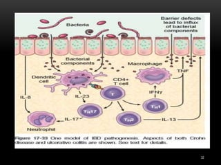 Pathology of Inflammatory bowel disease | PPTX