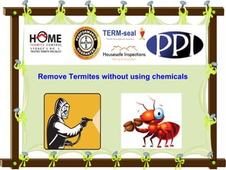 Remove Termites without using chemicals

 