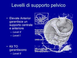 Levelli di supporto pelvico Elevate Anterior  garantisce un supporto centrale e anteriore Level II  Level I   Kit TO garantiscono  Level II 