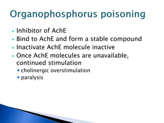    Inhibitor of AchE
   Bind to AchE and form a stable compound
   Inactivate AchE molecule inactive
   Once AchE molecules are unavailable,
    continued stimulation
     cholinergic overstimulation
     paralysis
 