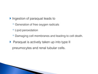  Ingestion of paraquat leads to
    ◦ Generation of free oxygen radicals
    ◦ Lipid peroxidation
    ◦ Damaging cell membranes and leading to cell death.
   Paraquat is actively taken up into type II
    pneumocytes and renal tubular cells.
 
