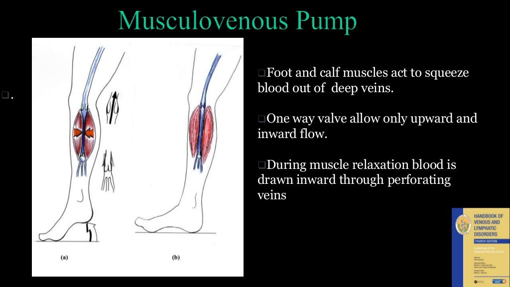 venous-reflux-worksheet