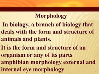 Morphology
In biology, a branch of biology that
deals with the form and structure of
animals and plants.
It is the form and structure of an
organism or any of its parts
amphibian morphology external and
internal eye morphology 15
 