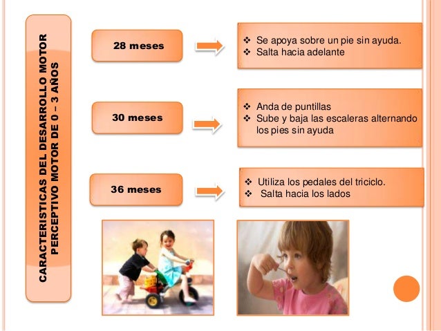 Upel Psicologia Evolutiva Primera Infancia De 0 A 3 Años