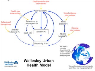 Wellesley Urban
Health Model
 