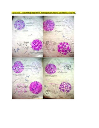 $uper-$lide-$hare of My 1st
Year MBBS Histology Haematoxylin-Eosin Color $lides=NQ-I
 