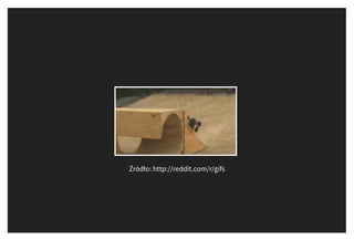 Źródło: http://reddit.com/r/gifs
 