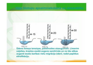 Upju biotopu apsaimniekošana un aizsardzība 
Ūdens līmeņa izmaiņas, palielinoties aizaugumam. Līmenim 
ceļoties, krastos esošā augsne samitrinās un no tās sākas 
augsnē esošo barības vielu migrācija ūdenī, radot papildus 
eitrofikāciju. 
 