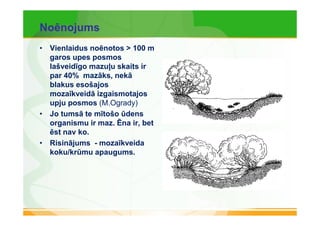 Noēnojums 
• Vienlaidus noēnotos > 100 m 
garos upes posmos 
lašveidīgo mazuļu skaits ir 
par 40% mazāks, nekā 
blakus esošajos 
mozaīkveidā izgaismotajos 
upju posmos (M.Ogrady) 
• Jo tumsā te mītošo ūdens 
organismu ir maz. Ēna ir, bet 
ēst nav ko. 
• Risinājums - mozaīkveida 
koku/krūmu apaugums. 
 
