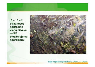 5 – 10 m2 
straujteces 
nodrošina 
viena cilvēka 
radītā 
piesārņojuma 
noārdīšanu 
Upju kopšanas pamati © L.Urtāne, A. Urtāns 
 